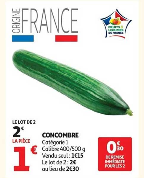 LE LOT DE 2 CONCOMBRE