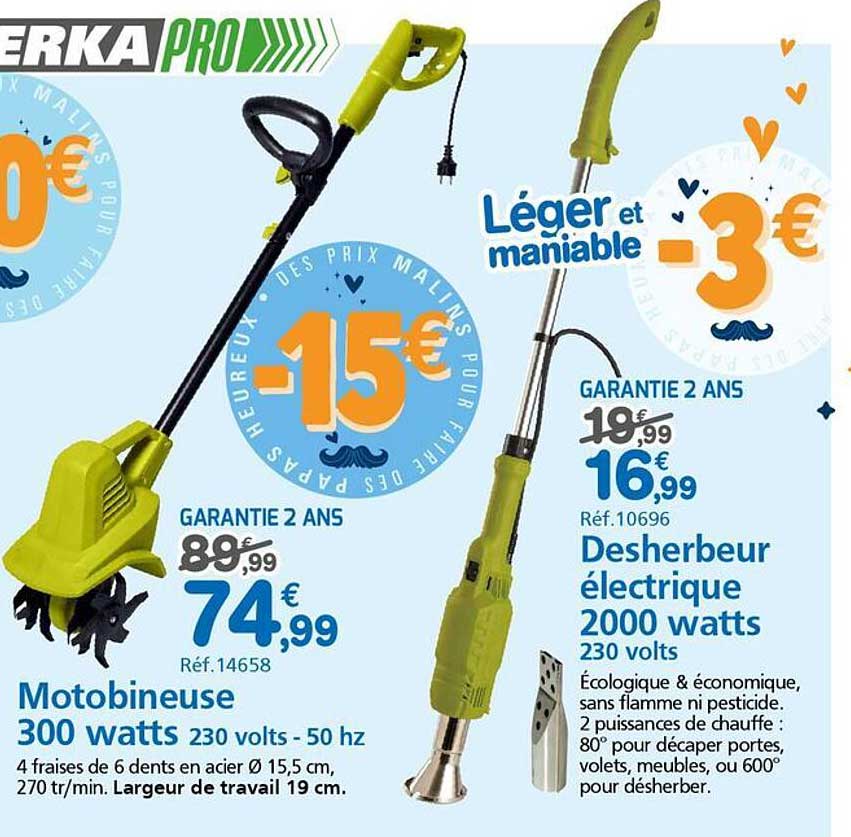Motobineuse 300 watts 230 volts - 50 hz