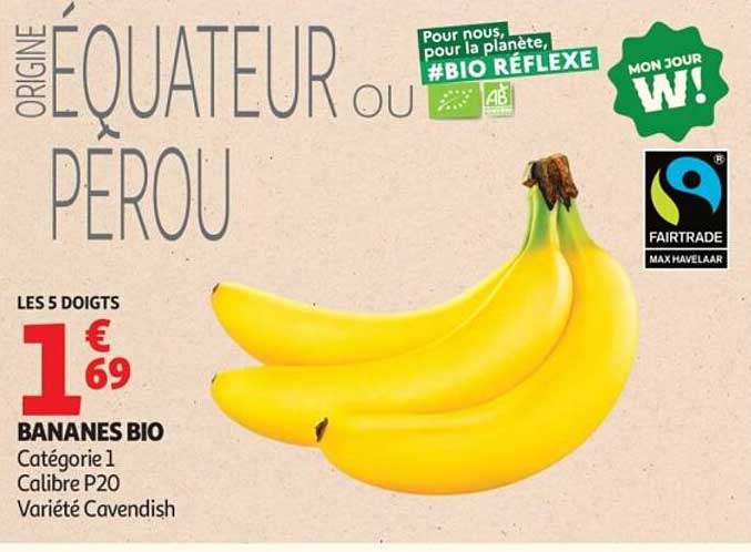 ORIGINE ÉQUATEUR OU PÉROU