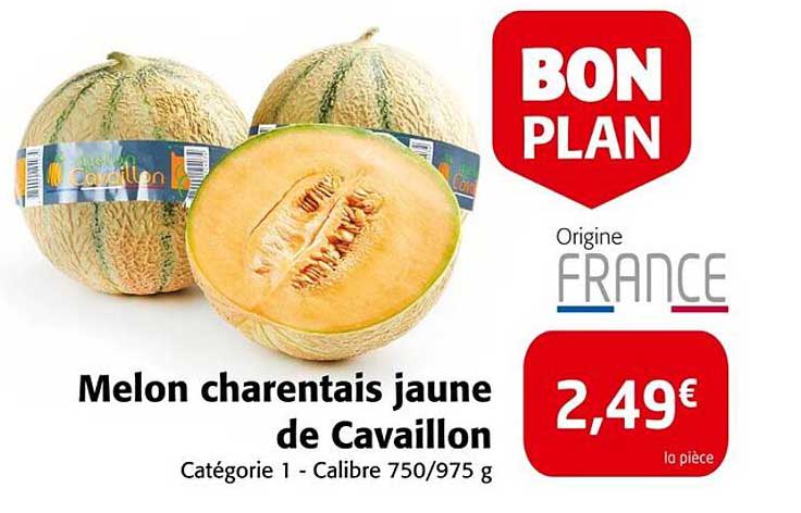 Melon charentais jaune de Cavaillon