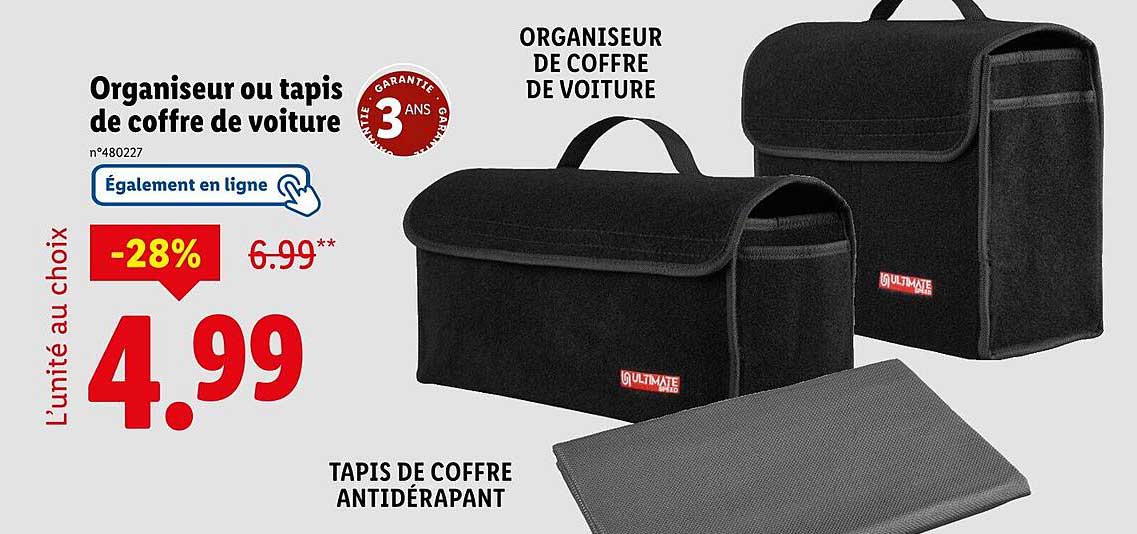 Organiseur ou tapis de coffre de voiture