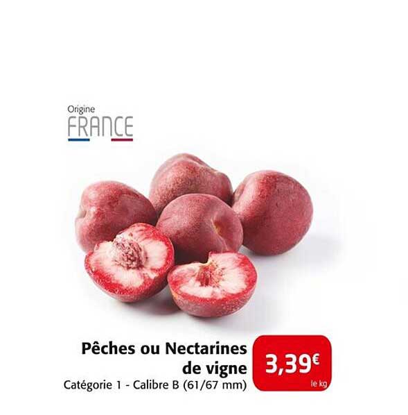 Pêches ou Nectarines de vigne