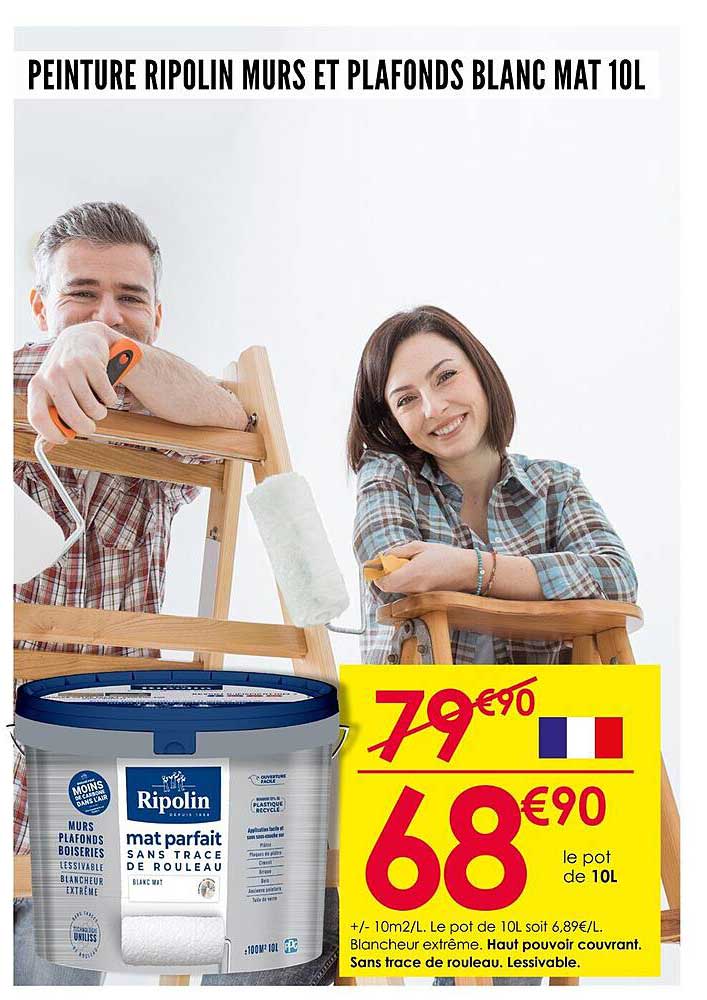 PEINTURE RIPOLIN MURS ET PLAFONDS BLANC MAT 10L