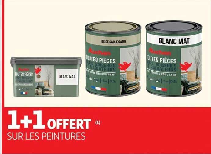 1+1 OFFERT SUR LES PEINTURES