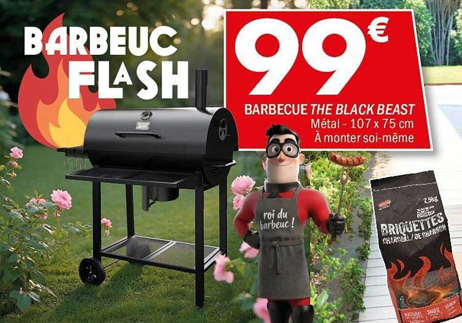 BARBECUC FLASH