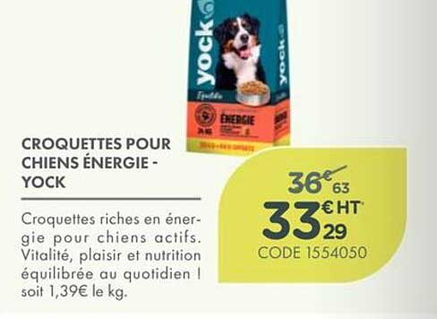 CROQUETTES POUR CHIENS ÉNERGIE - YOCK