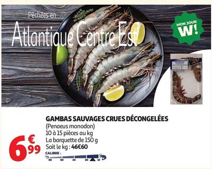 GAMBASS SAUVAGES CRUES DÉCONGELÉES