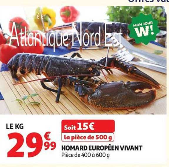 HOMARD EUROPÉEN VIVANT