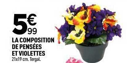 LA COMPOSITION DE PENSÉES ET VIOLETTES