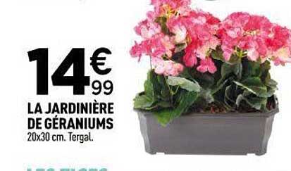 LA JARDINIÈRE DE GÉRANIUMS