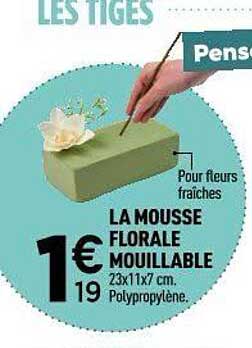 LA MOUSSE FLORALE MOUILLABLE