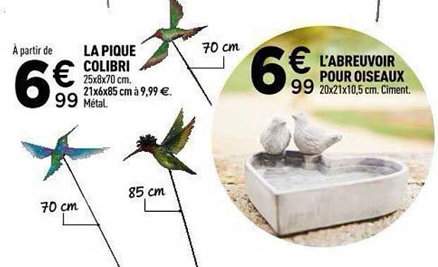 LA PIQUE COLIBRI