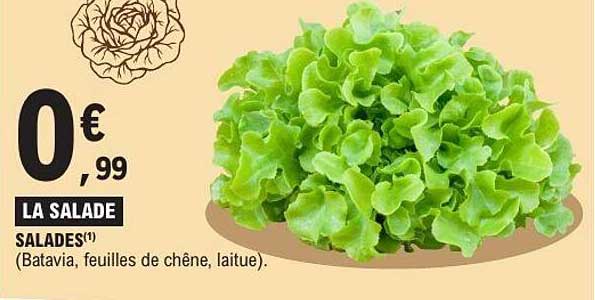 LA SALADE