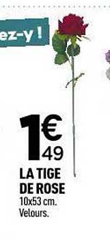 LA TIGE DE ROSE 10x53 cm. Velours.
