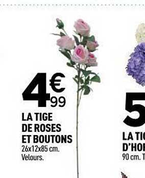 LA TIGE DE ROSES ET BOUTONS 26x12x85 cm. Velours.