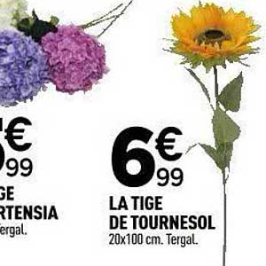 LA TIGE DE TOURNESOL
