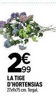 LA TIGE D'HORTENSIAS 27x9x75 cm. Tergal.