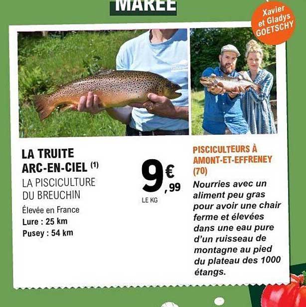 LA TRUITE ARC-EN-CIEL
