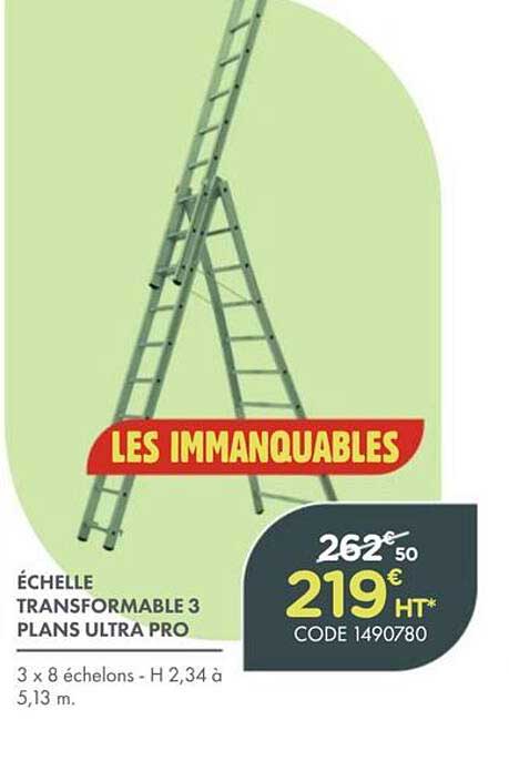 LES IMMANQUABLES