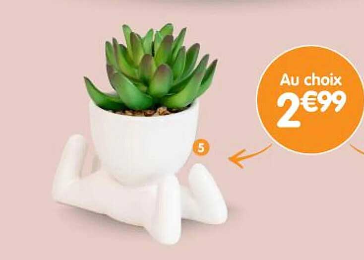 Au choix 2€99
