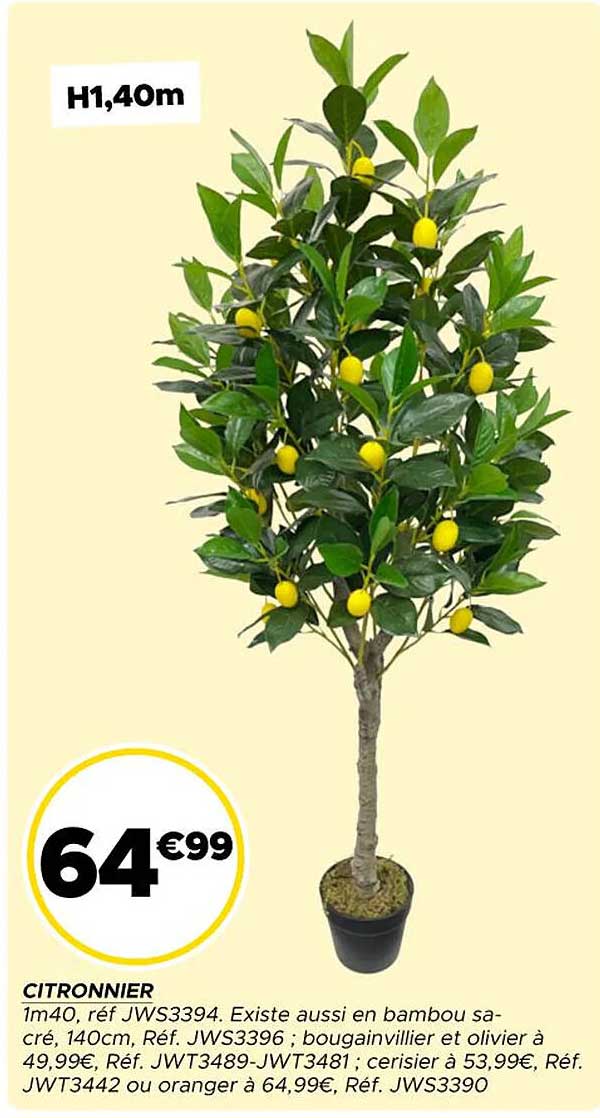 CITRONNIER