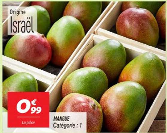 MANGUE