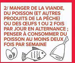 2/ MANGER DE LA VIANDE, DU POISSON (ET AUTRES PRODUITS DE LA PÊCHE) OU DES OEUFS 1 OU 2 FOIS PAR JOUR EN ALTERNANCE ; PENSER A CONSOMMER DU POISSON AU MOINS DEUX FOIS PAR SEMAINE