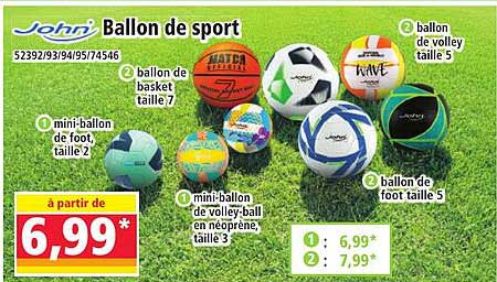 Ballon de sport