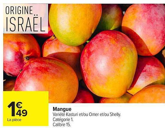 Mangue