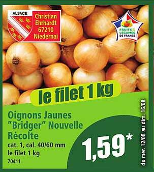 Oignons Jaunes "Bridger" Nouvelle Récolte