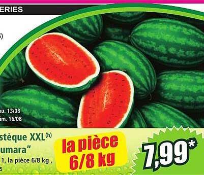 Pastèque XXL(h) "Numara"