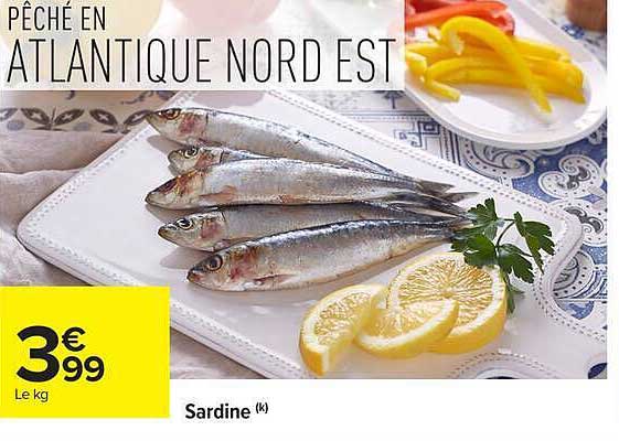 PÊCHÉ EN ATLANTIQUE NORD EST