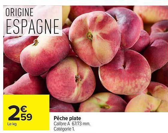 Pêche plate