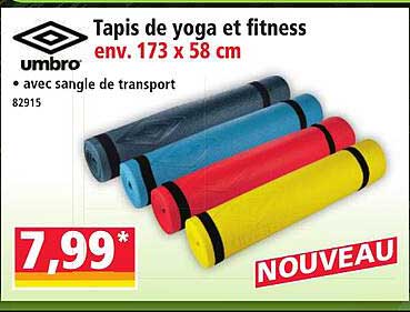 Tapis de yoga et fitness env. 173 x 58 cm