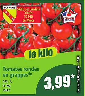 Tomates rondes en grappes(b)