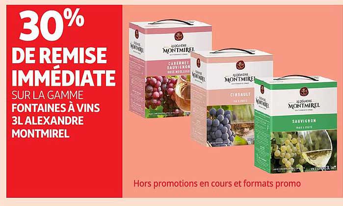 30% DE REMISE IMMEDIATE SUR LA GAMME FONTAINES À VINS 3L ALEXANDRE MONTMIREL