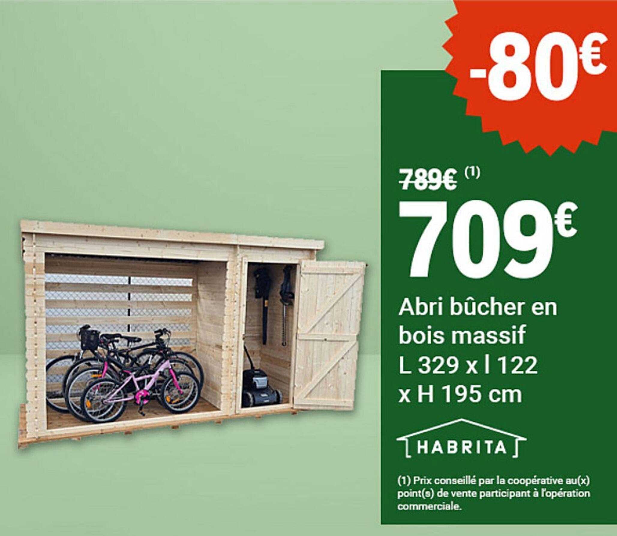 Abri bûcher en bois massif