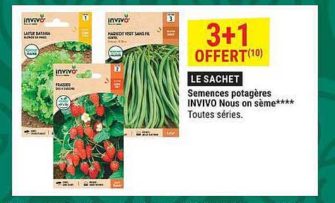 3+1 OFFERT(10)