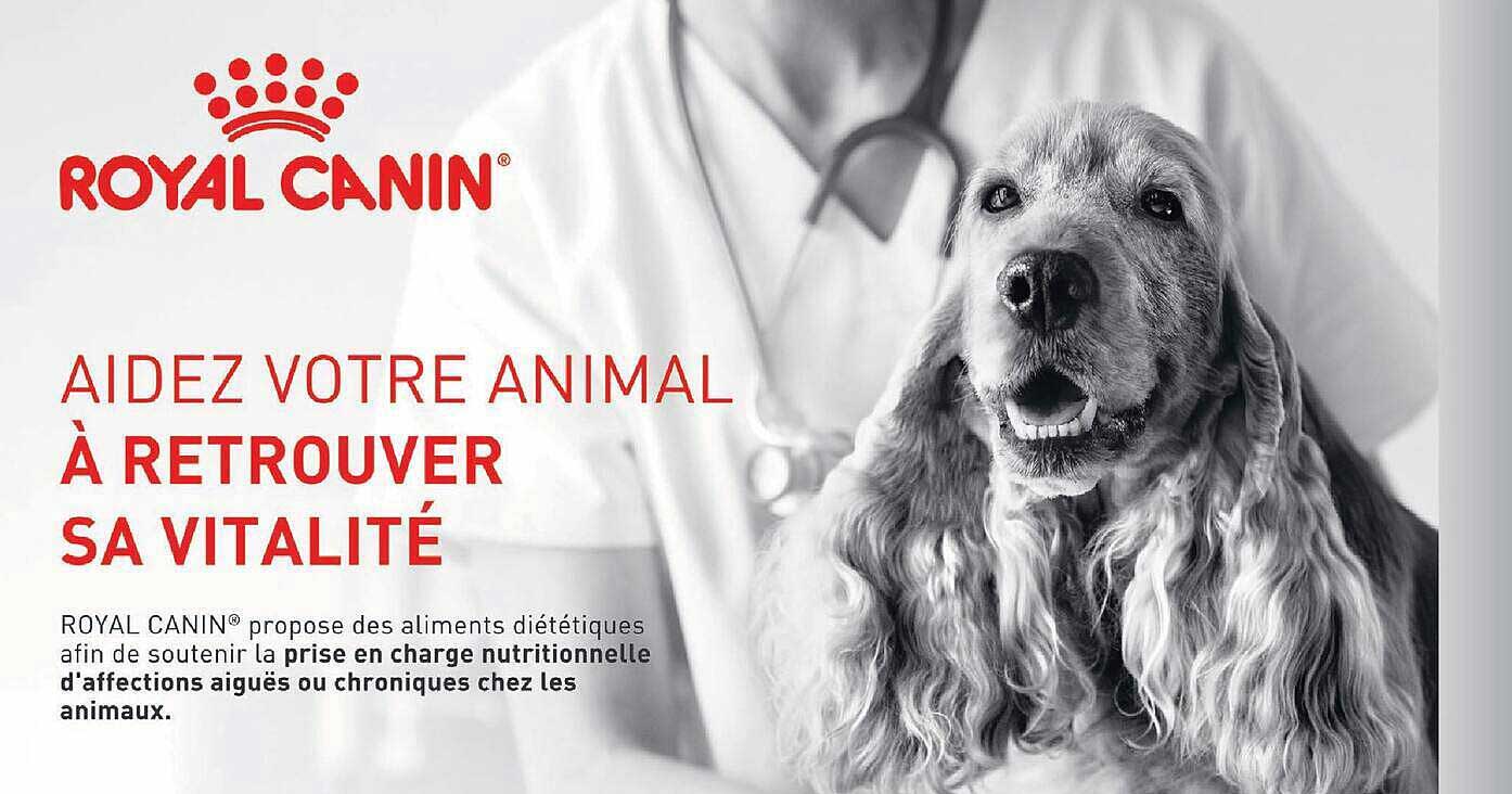 AIDEZ VOTRE ANIMAL À RETROUVER SA VITALITÉ