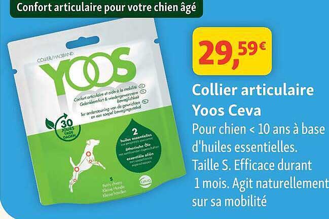 Confort articulaire pour votre chien âgé