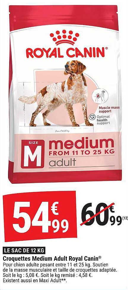 Croquettes Medium Adult Royal Canin®