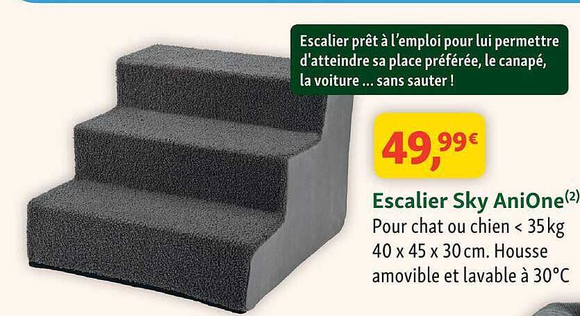 Escalier prêt à l'emploi pour lui permettre d'atteindre sa place préférée, le canapé, la voiture ... sans sauter !