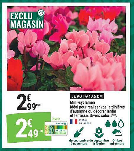 EXCLU MAGASIN