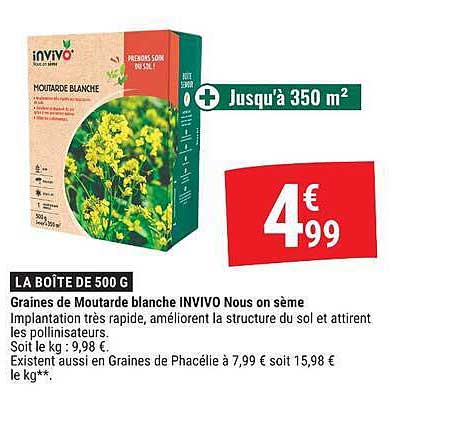 Graines de Moutarde blanche INVIVO Nous on sème