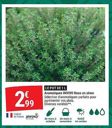 LE POT DE 1 L Aromatiques INVIVO Nous on sème