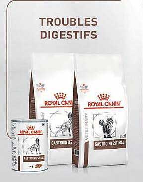 TROUBLES DIGESTIFS