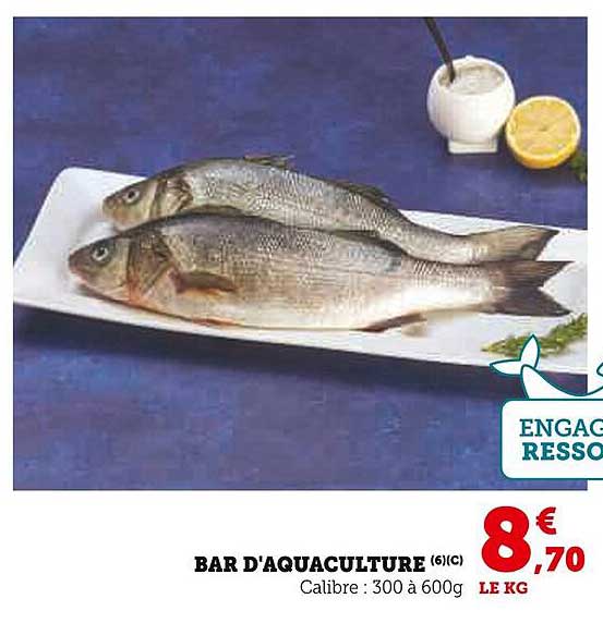 BAR D'AQUACULTURE (6/I-C)