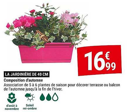 LA JARDINIÈRE DE 40 CM