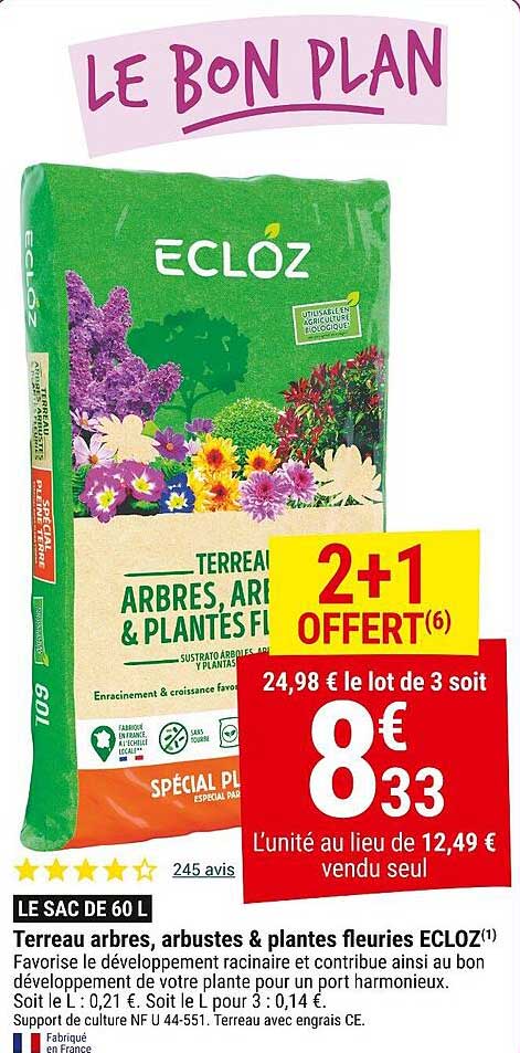 LE BON PLAN