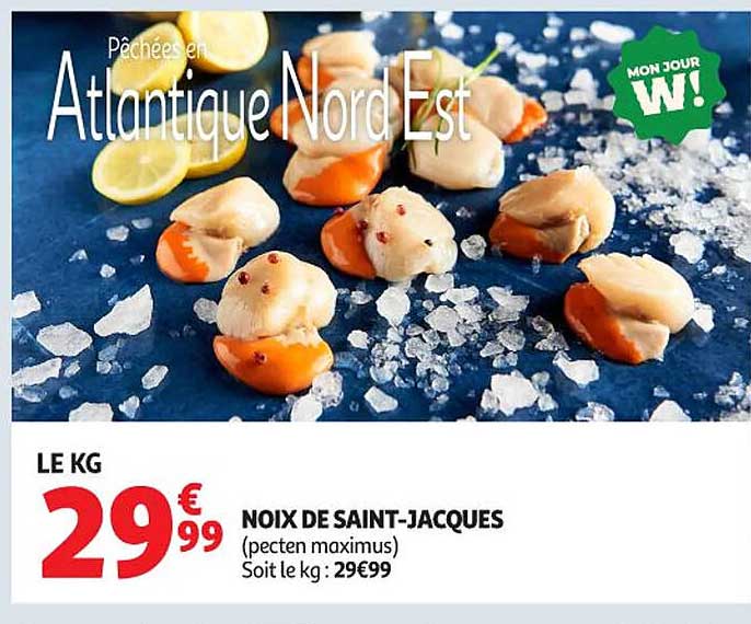 NOIX DE SAINT-JACQUES (pecten maximus)